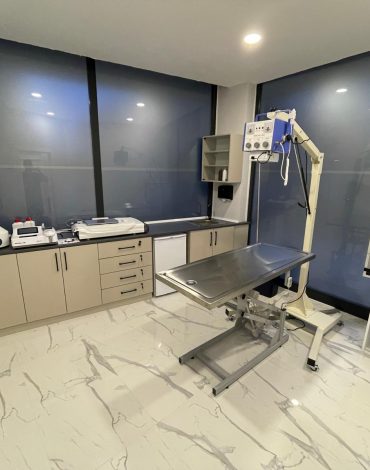 ümraniye kuş veteriner kliniği