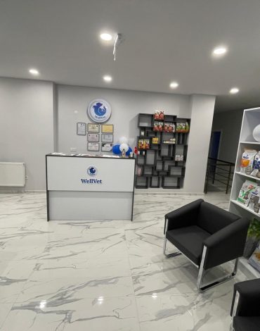 ümraniye veteriner kliniği