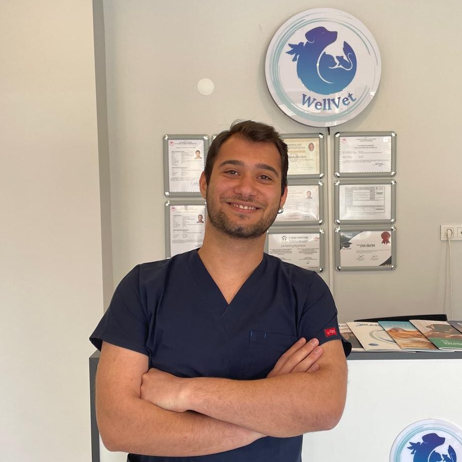 Wellvet Ümraniye Veteriner Hekim Kliniği