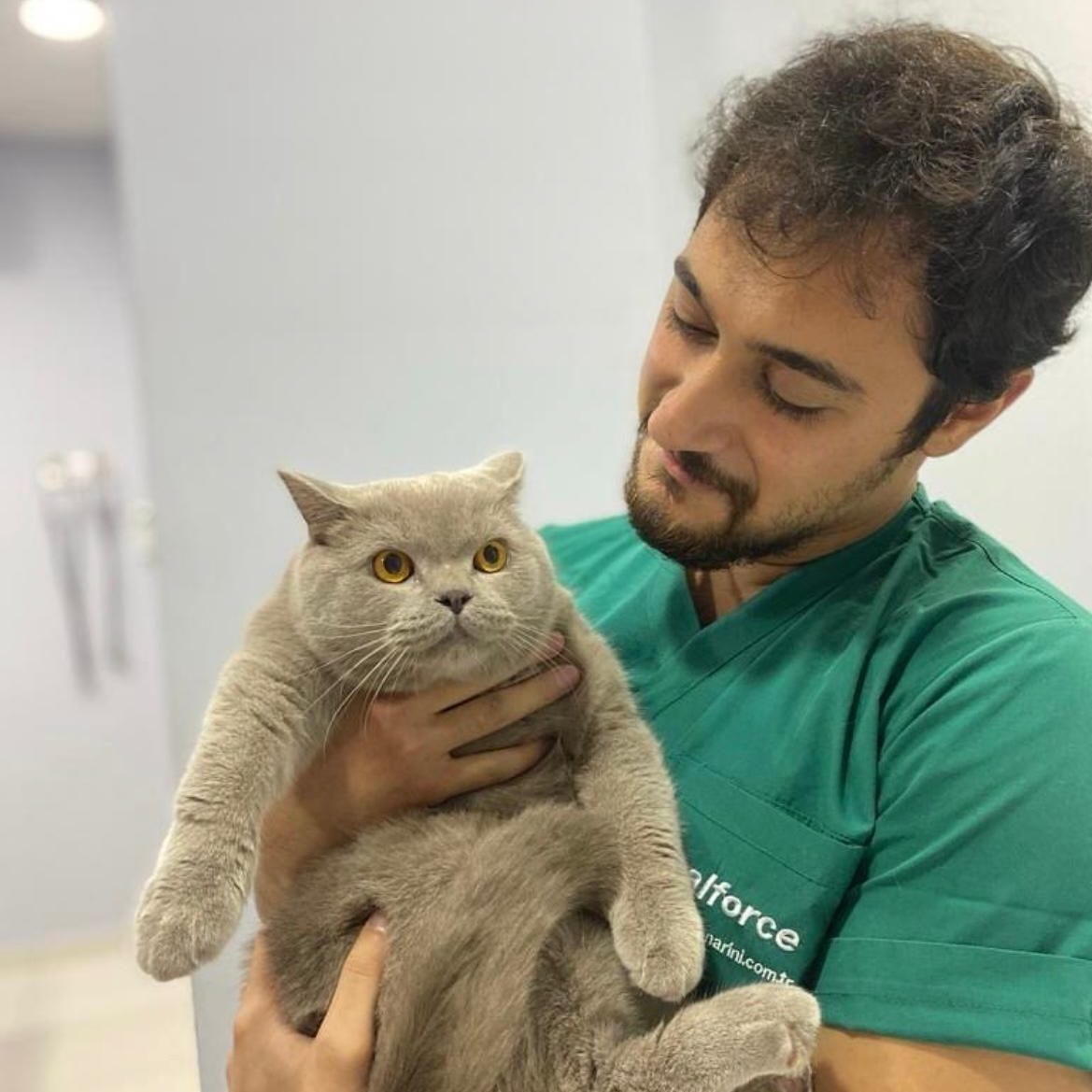 Wellvet Umraniye Veteriner Muayenehanesi Veteriner Hekim Levent Gökaydın