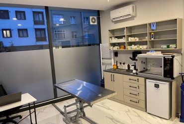 Wellvet İstanbul ümraniye veteriner