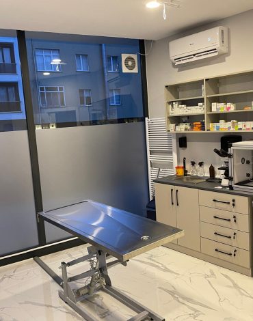 Wellvet İstanbul ümraniye veteriner